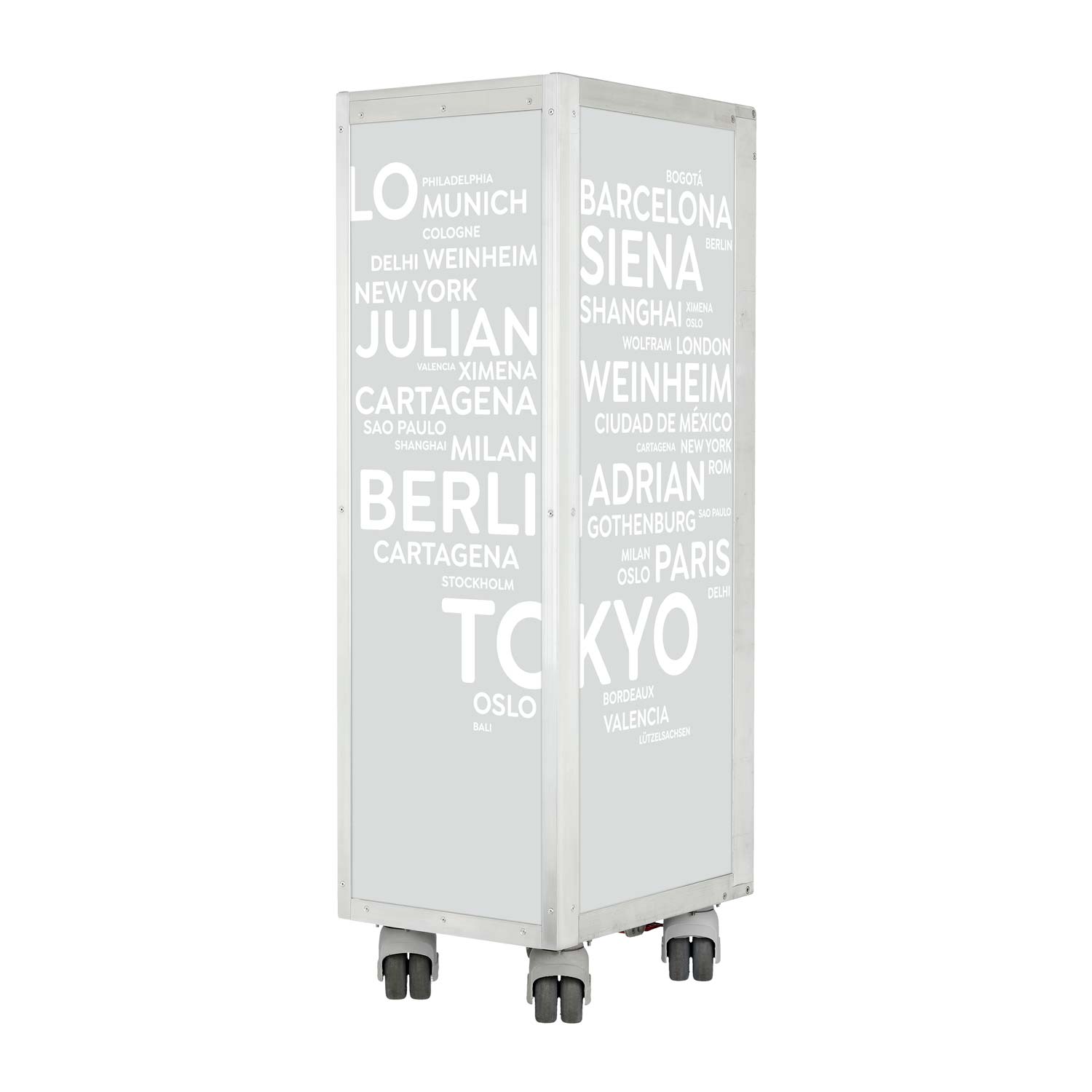 Flugzeugtrolley City mit Deinen Begriffen Airlinegrau